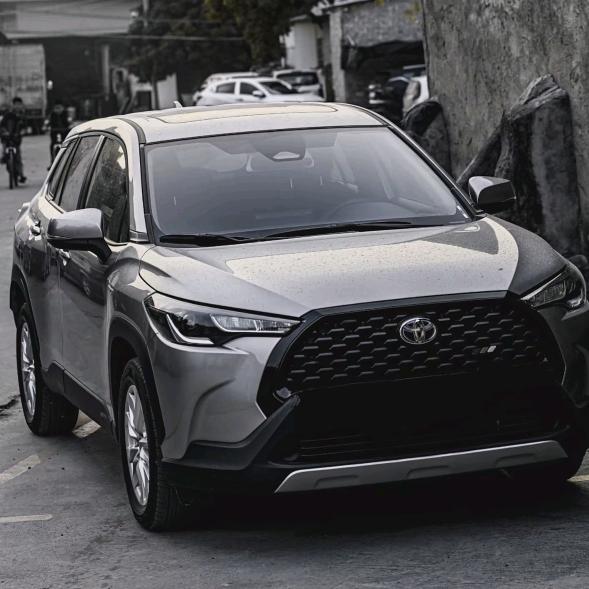 丰田推荐官（怡）