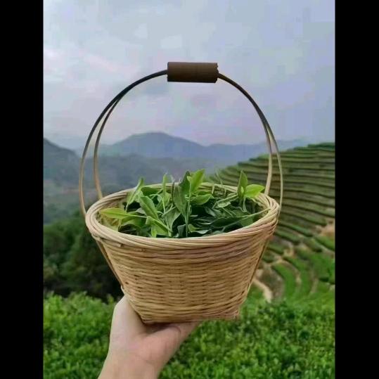 榴莲珍妮
