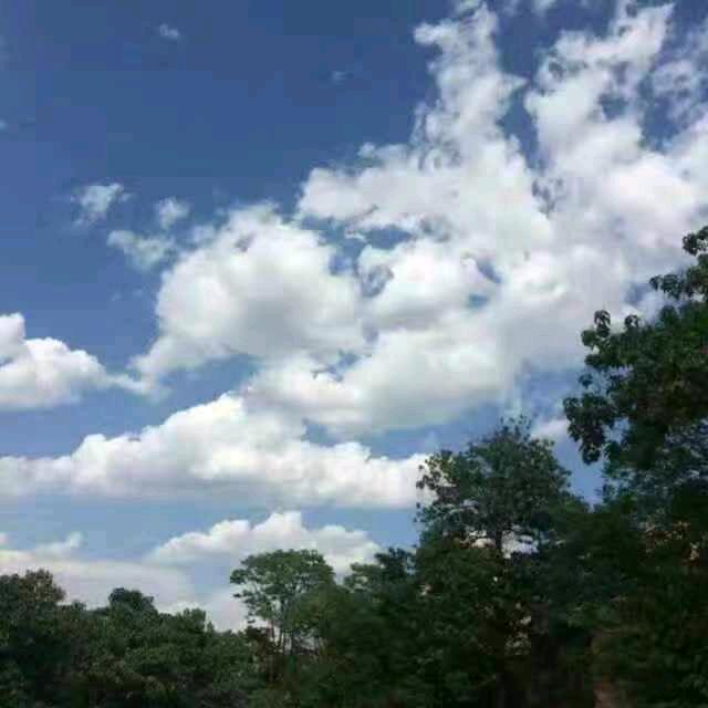 礼泉宝哥