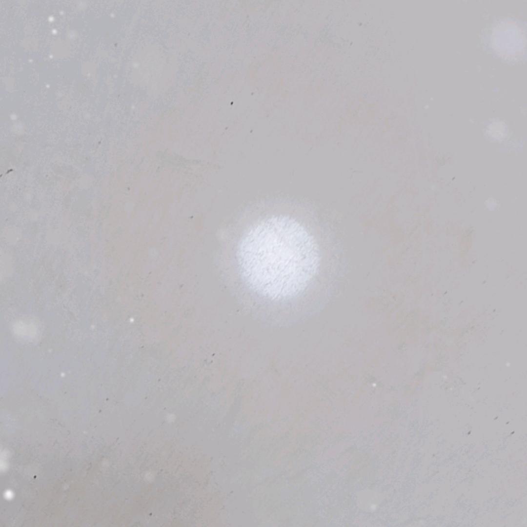 徐学柱