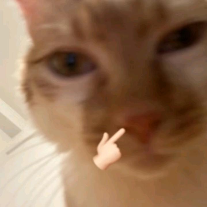 不知道诶，我这是一只猫猫.