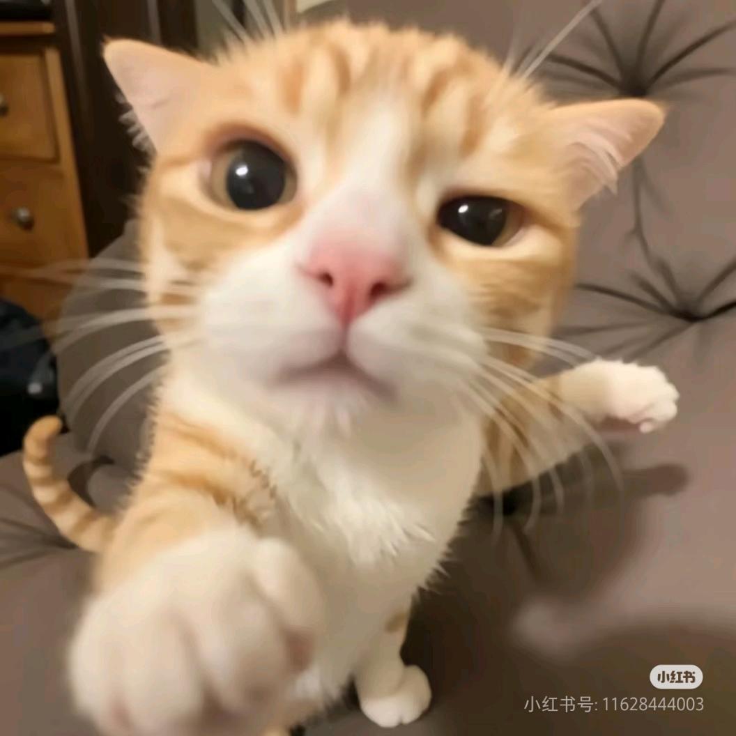 小小心