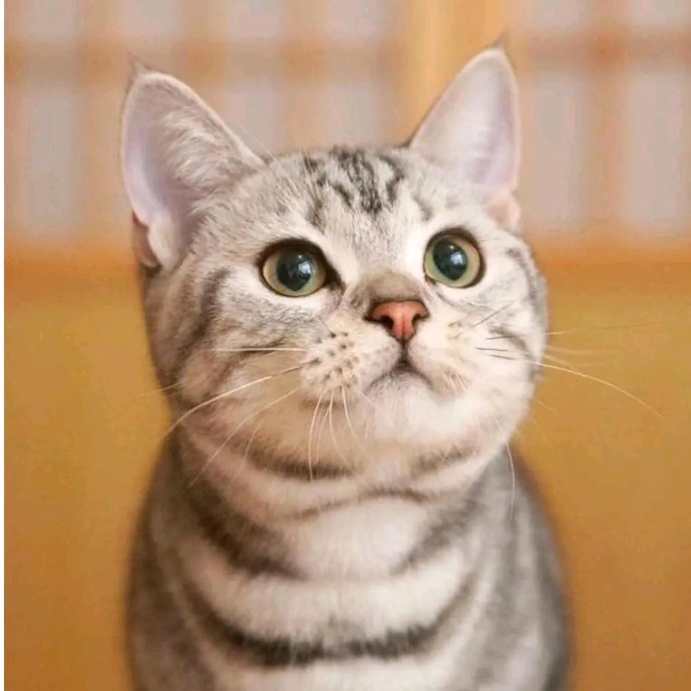 萌然心动好物推荐