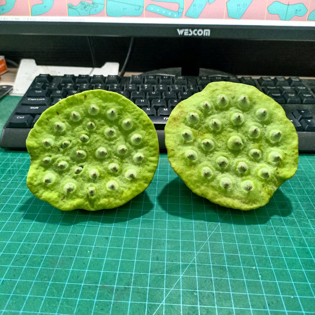 放自己一马