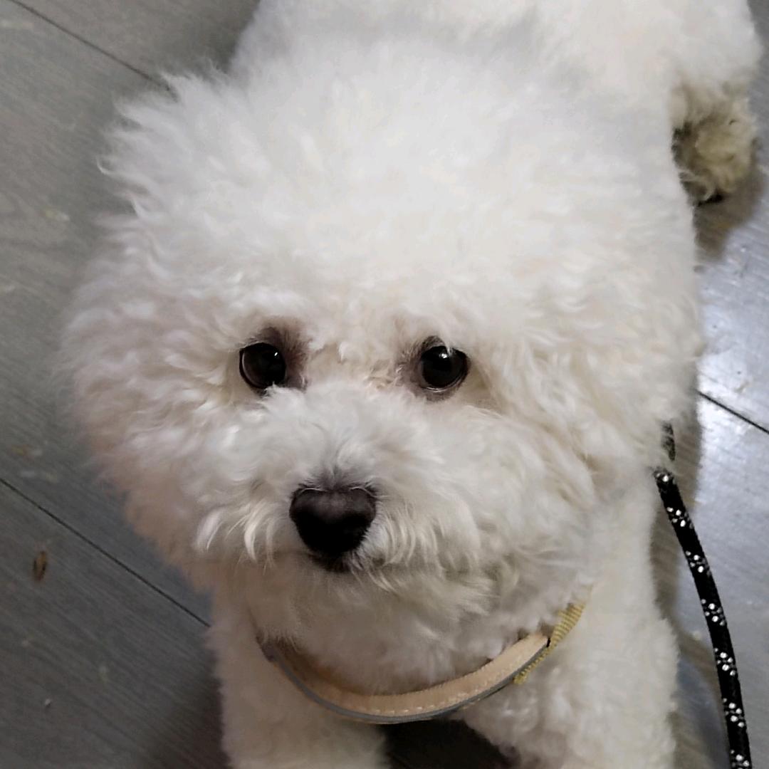 珍惜对自己好的人！