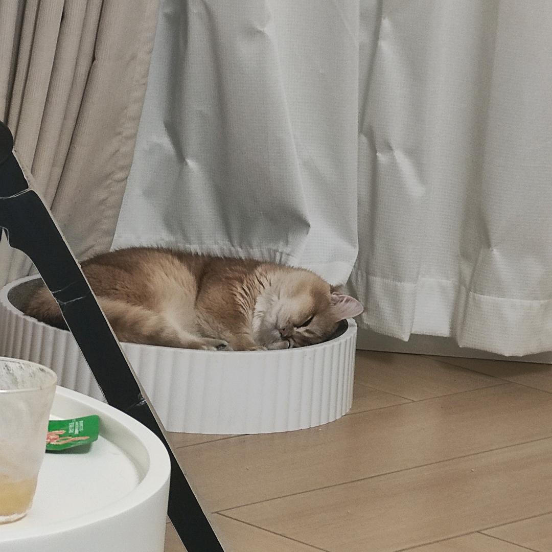 不需要知道我叫啥