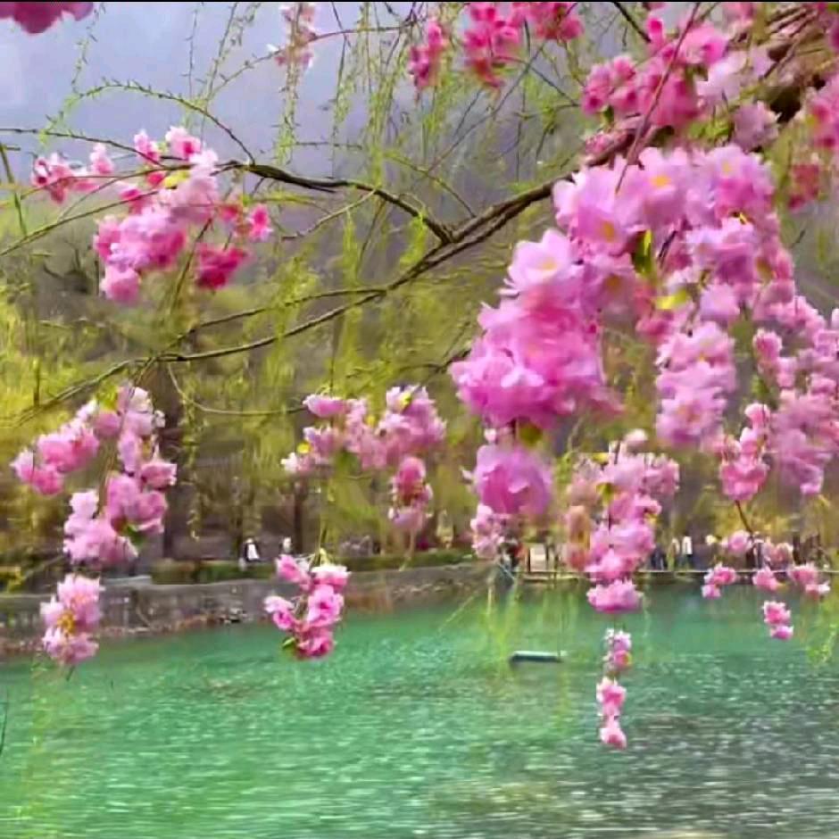 💞⃟封ᩚ心ᩚ锁ᩚ爱࿐ᩚᮨ᭄้