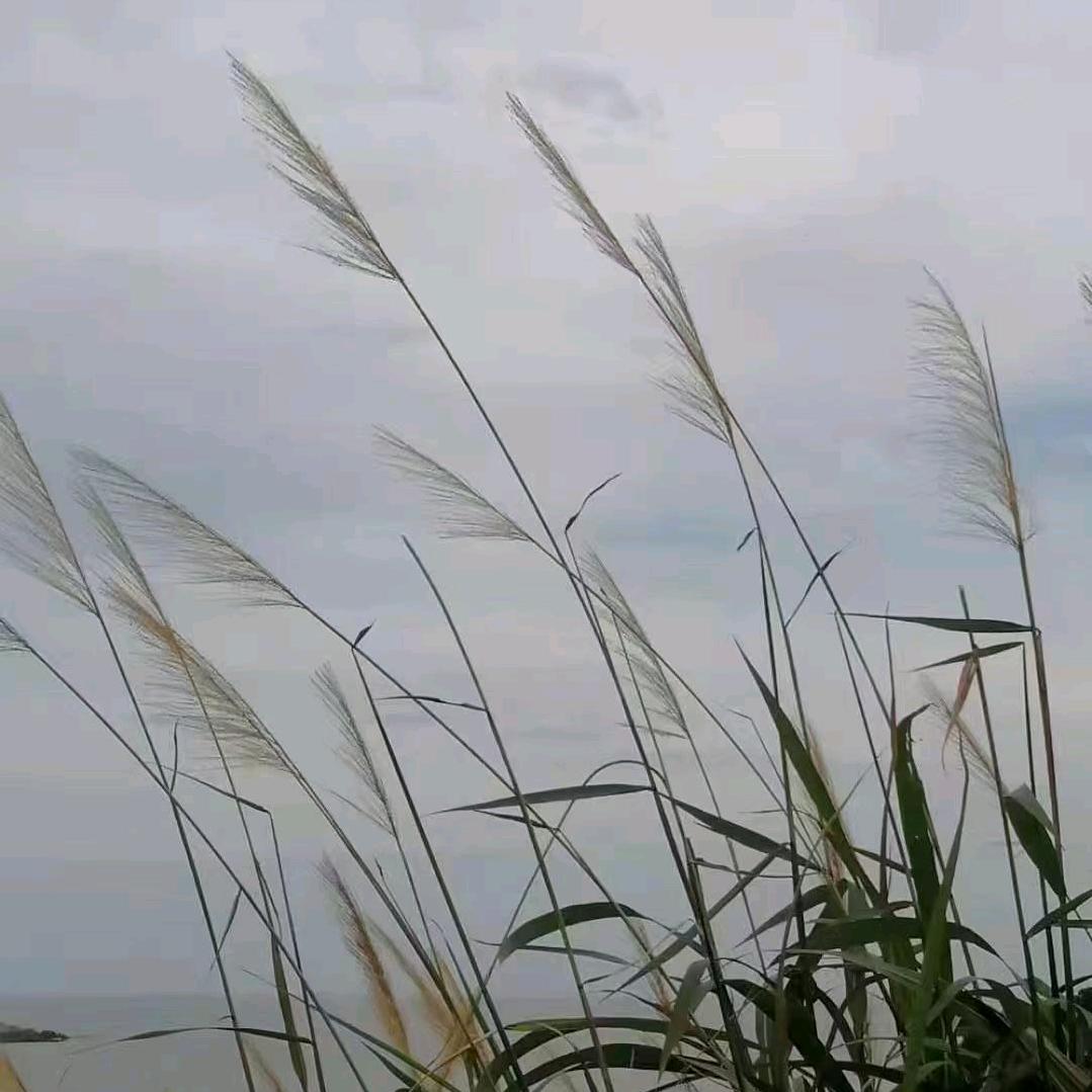 @y🪷
