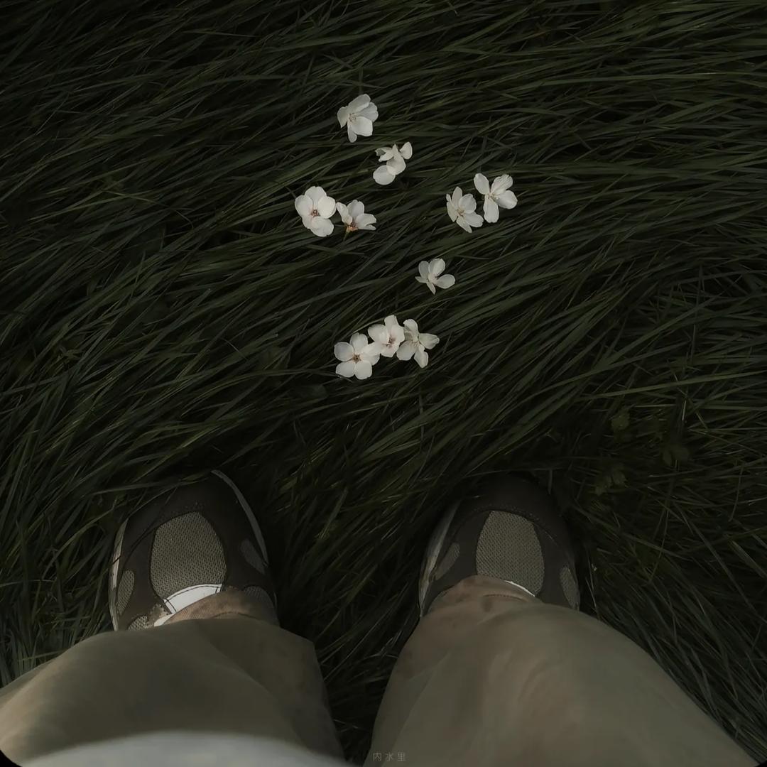 前行者