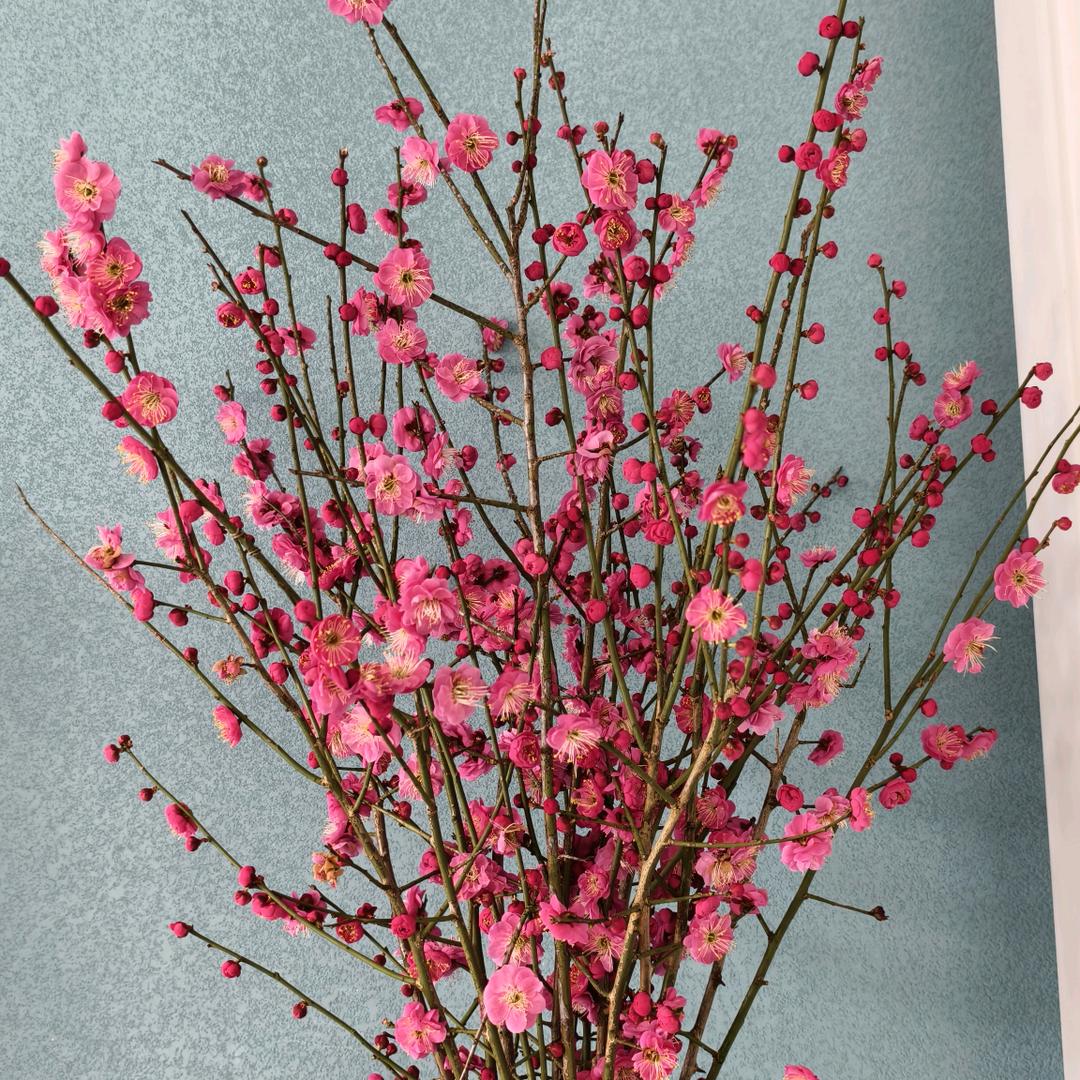 郑在你身边