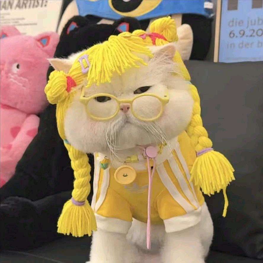 何包蛋呐~