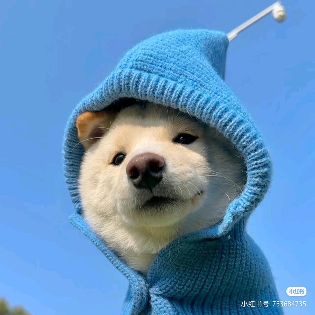 ….