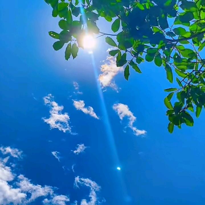 ༺ཆར་༒སིམ།༻