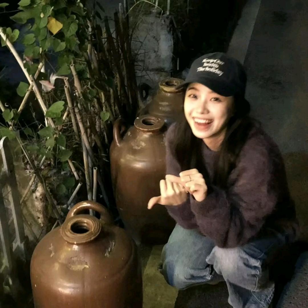 荔枝树下长花生🥜