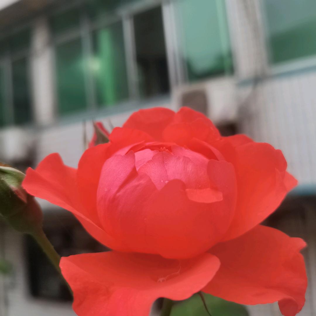 走，自，己，的路，看，自己的风景
