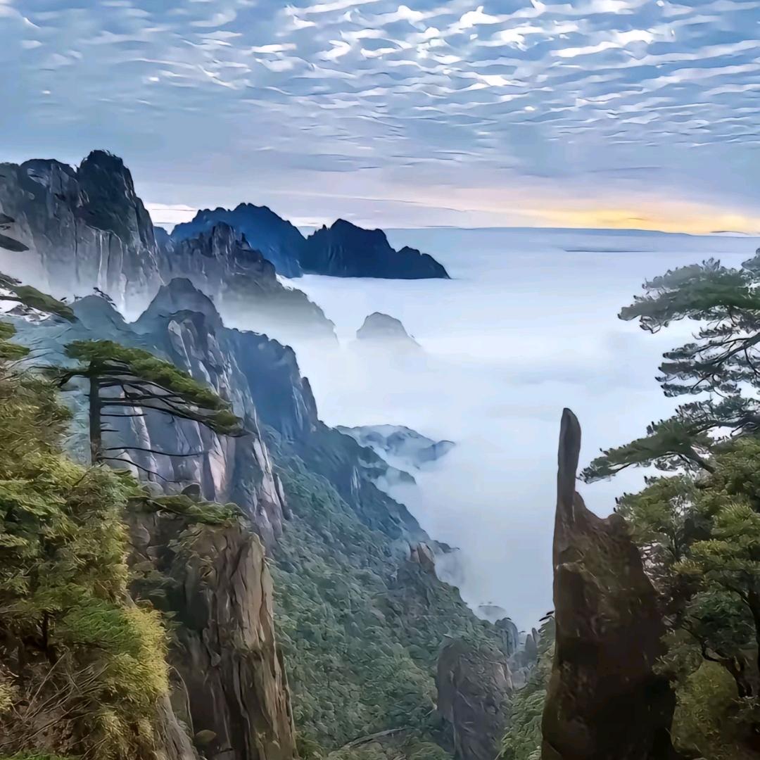 💐小💐西💐柚💐