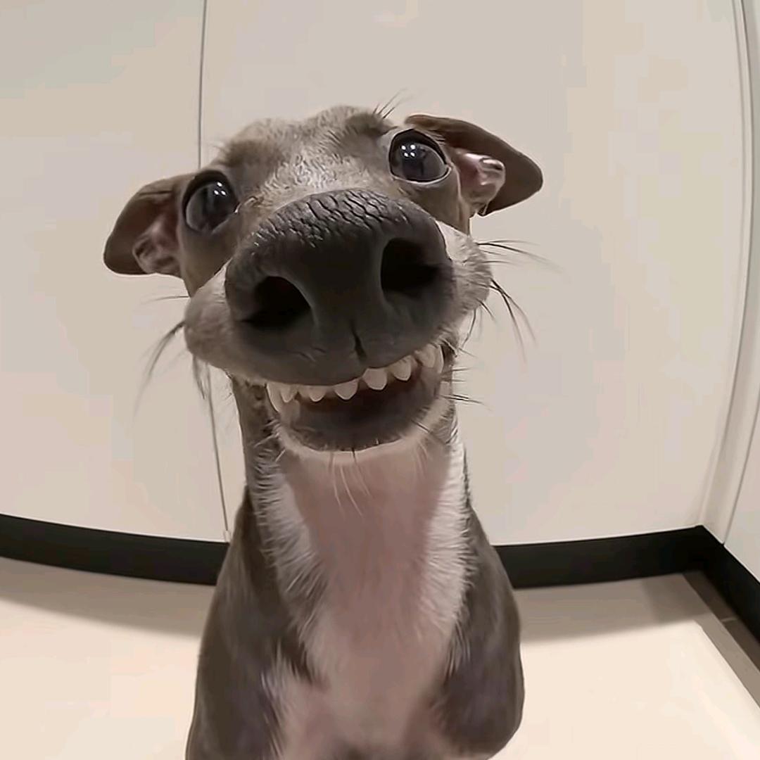 贰肆.