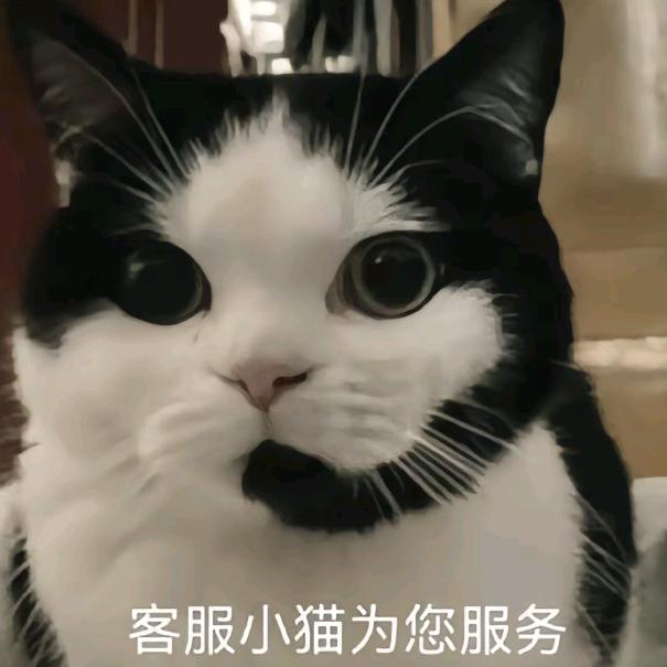 听泉客服猫🐱