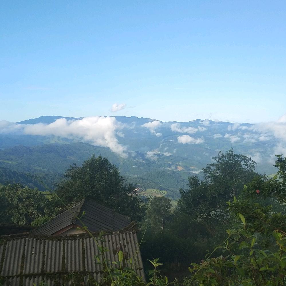 漩涡鸣人的铺子