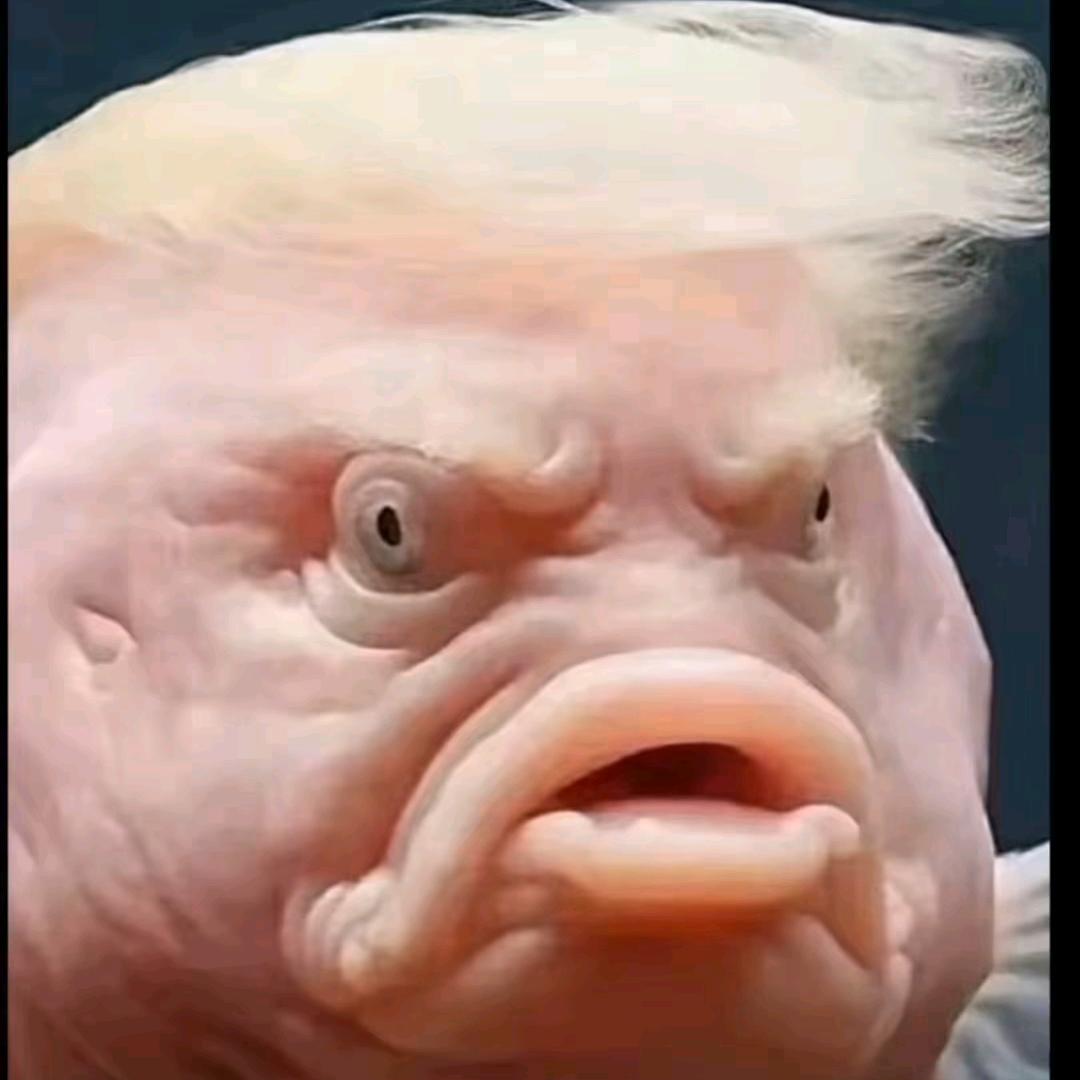 钓鱼佬的专用橱窗