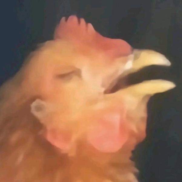 韩素为