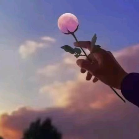 💞ღ᭄ꦿ人生ঞღ᭄ꦿ꯭💞