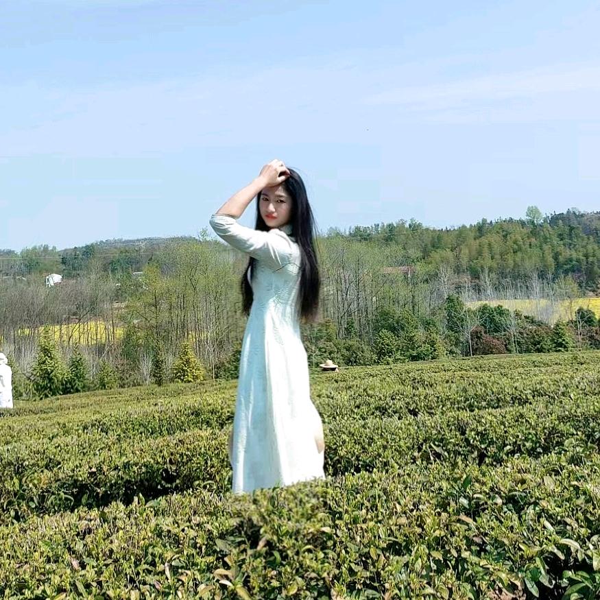 芊芊(西西团队)
