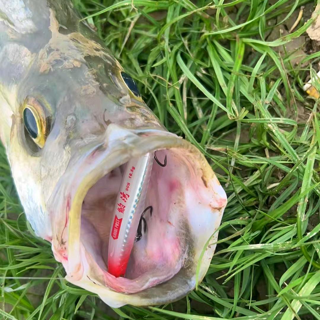 善小渔具浮漂厂