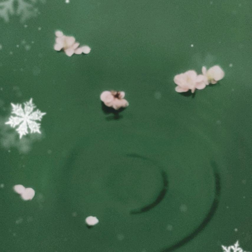 厦门市集美区咚咚仁服饰店（个体工商户）