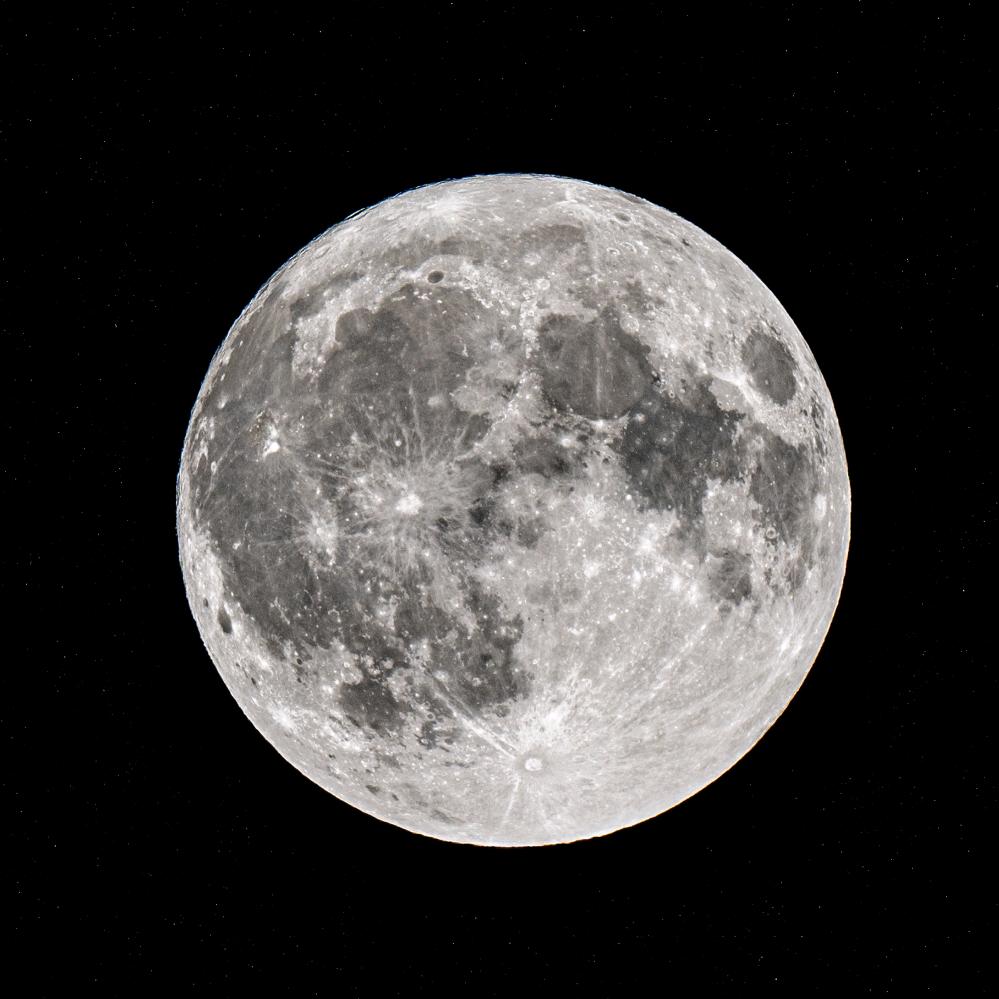 爱拍照的moon头像