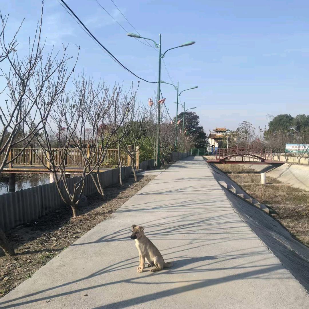 橙子好甜