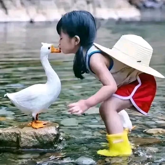 小西瓜