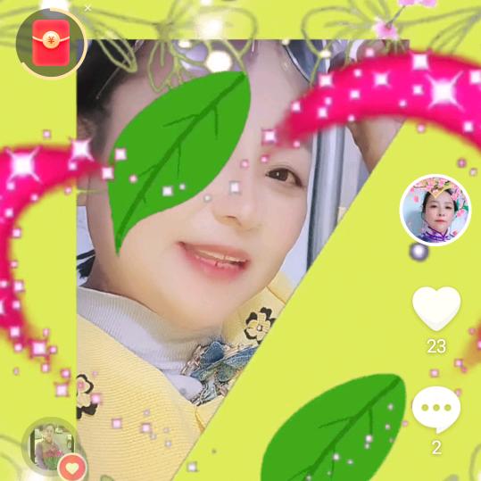 一片绿叶