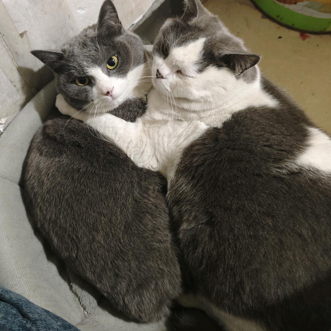 🌈福气满满钱多多