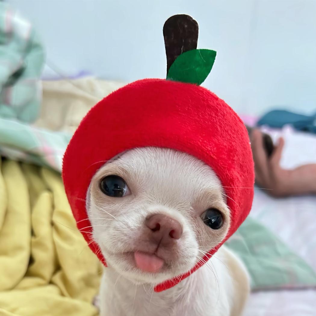 夫