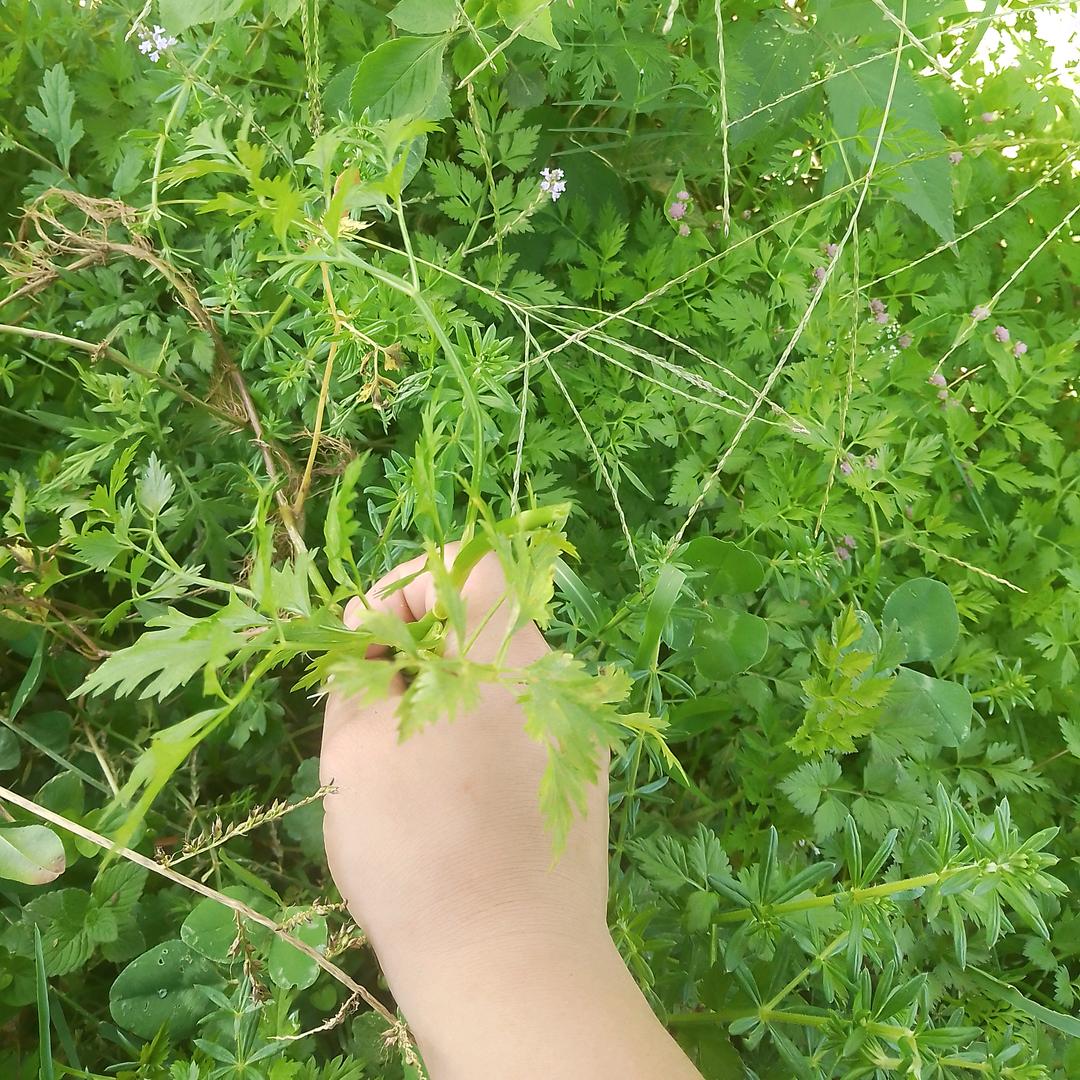 我不是你唯一的