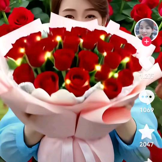 玫瑰🌹