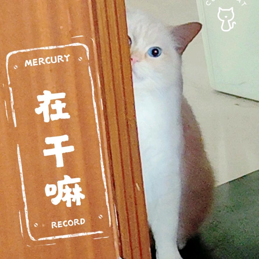 柯木