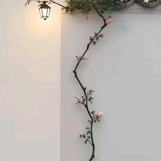 ～阿龙