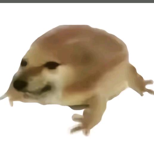 绝