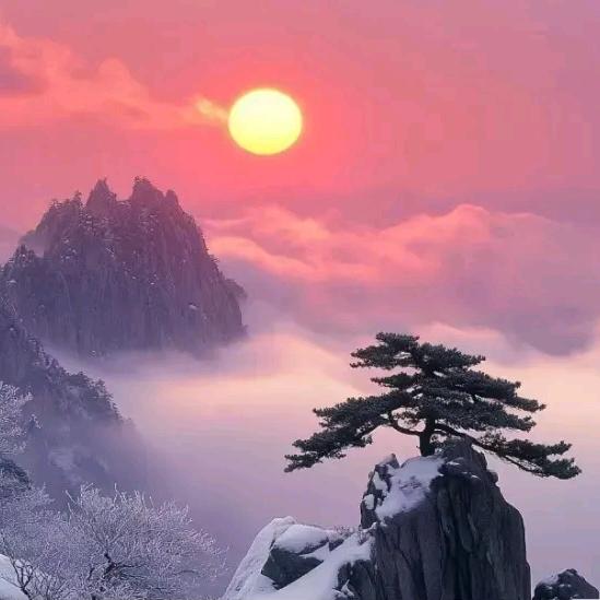 太极313