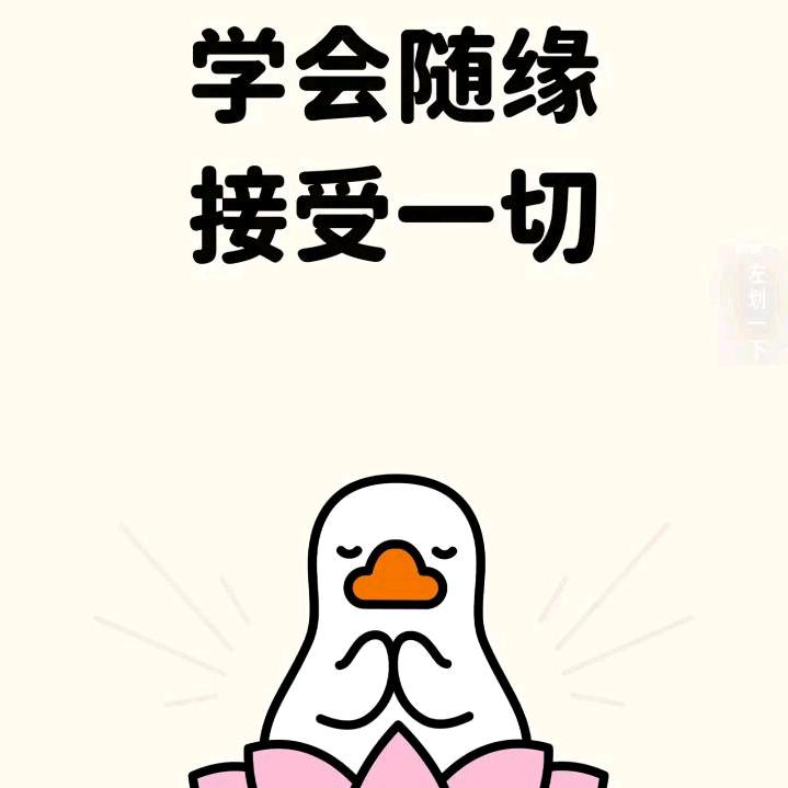 好好过✌