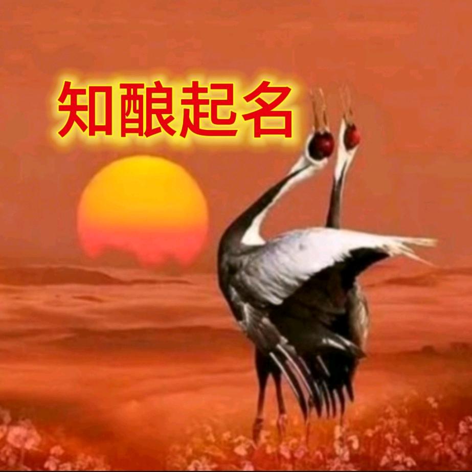 知酿宏名