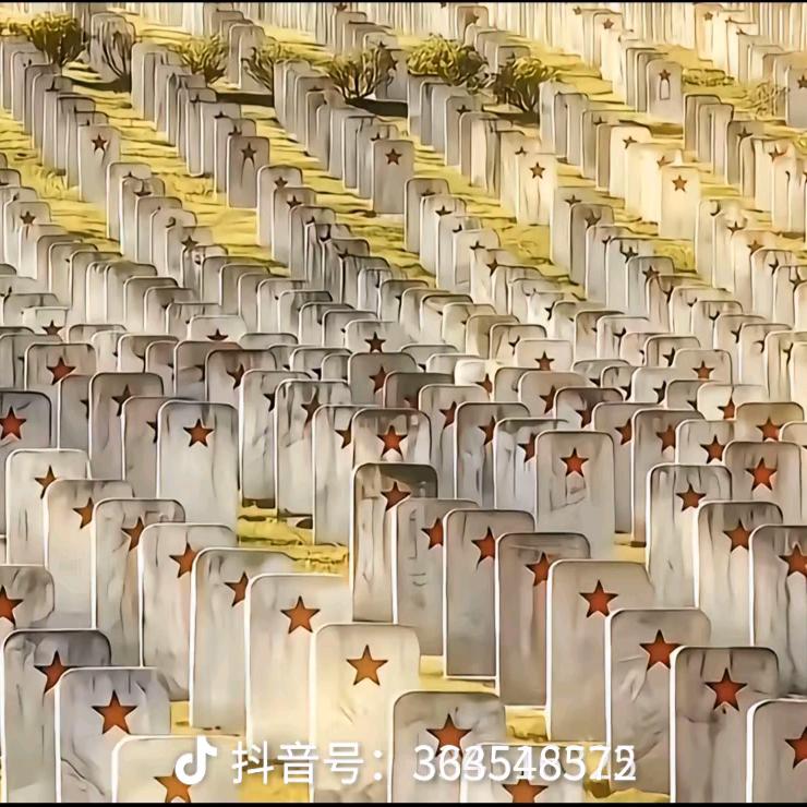 兀兀