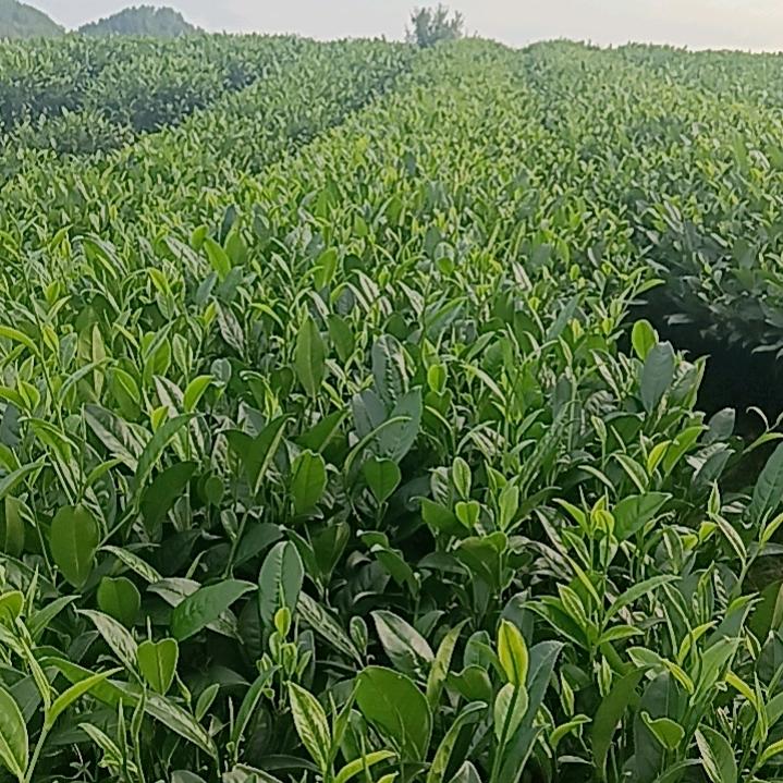 我想找个有缘人