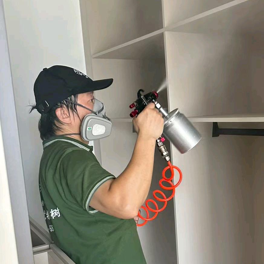 希望树除甲醛小洪