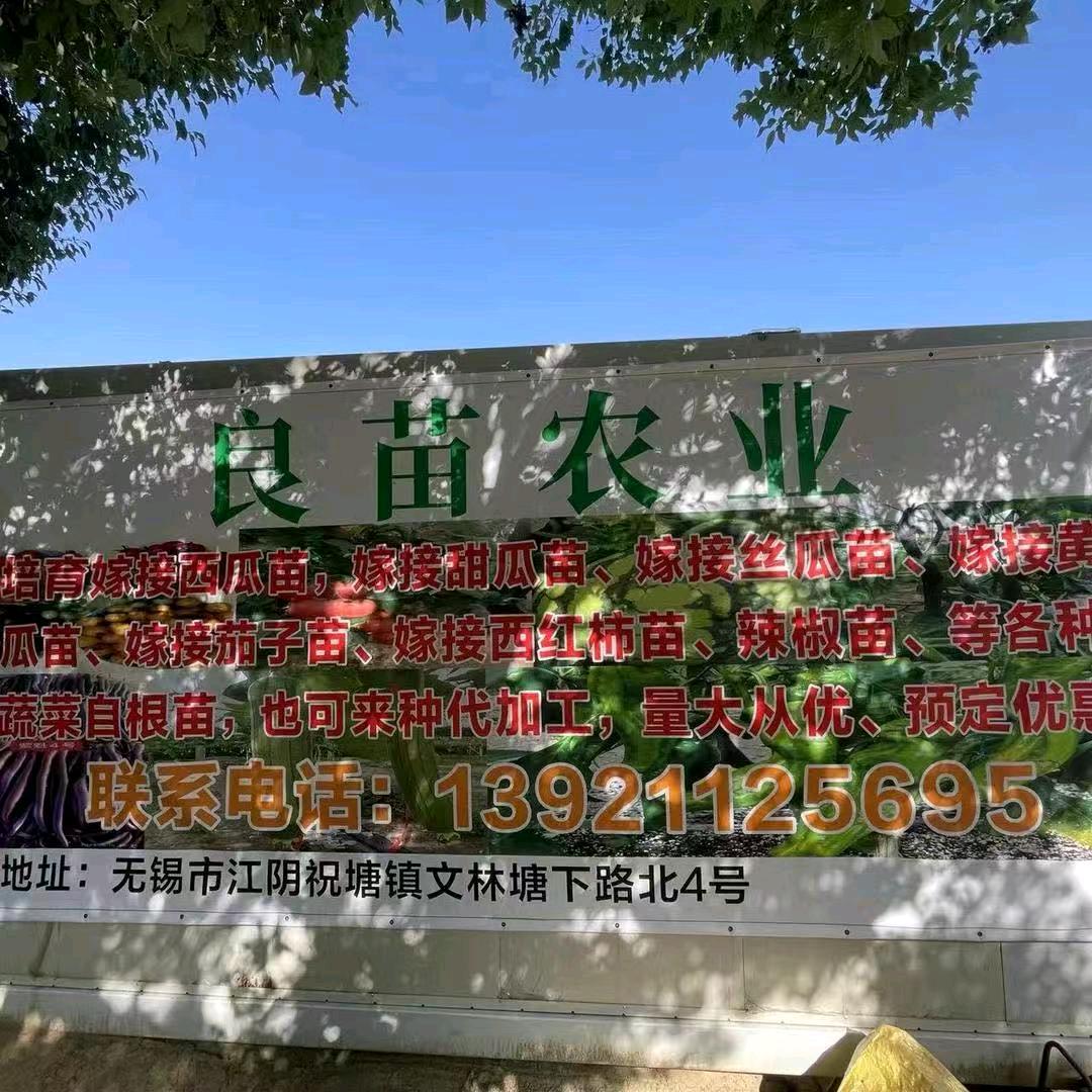 无锡良苗农业（开元种苗）