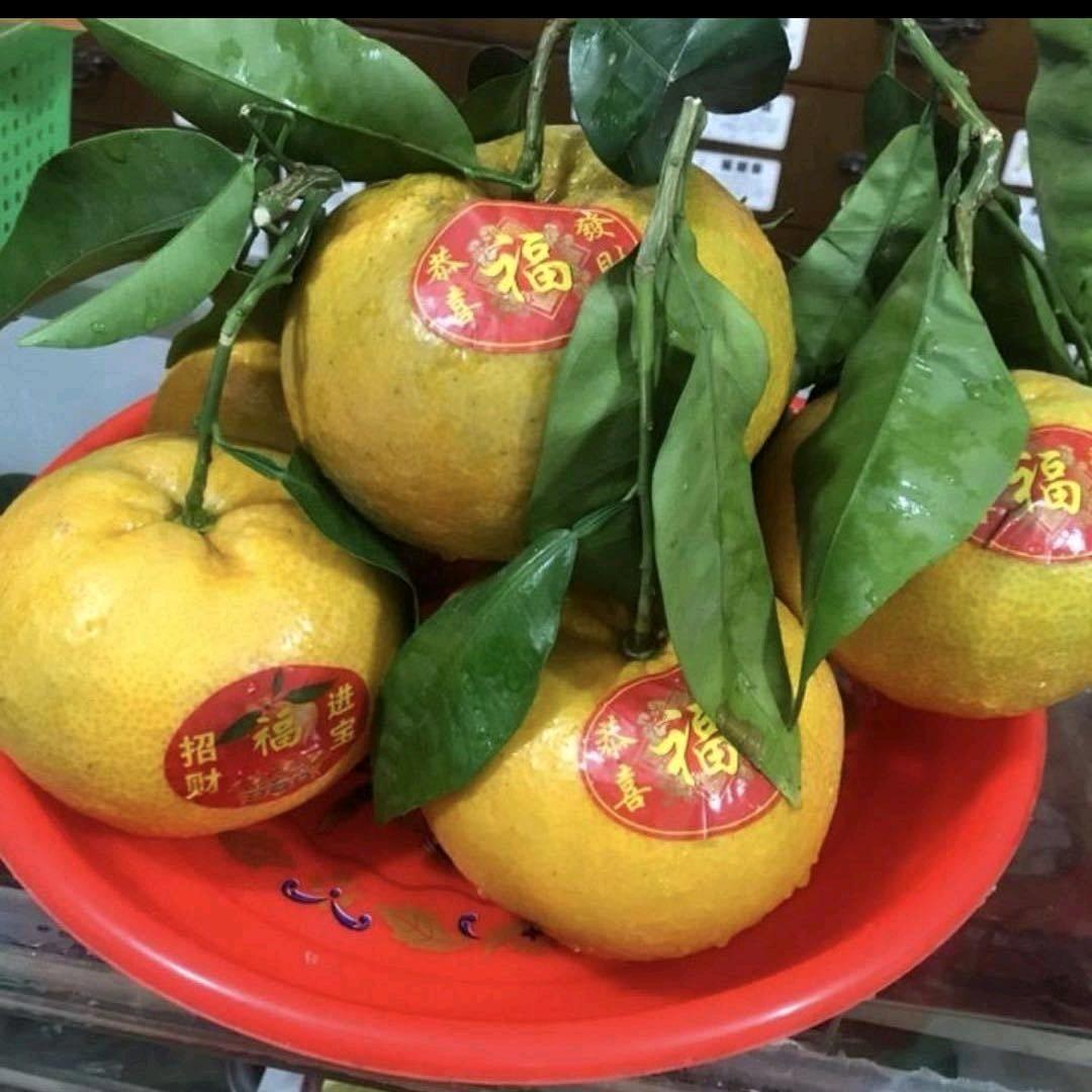 好事顺遂🌹🌹