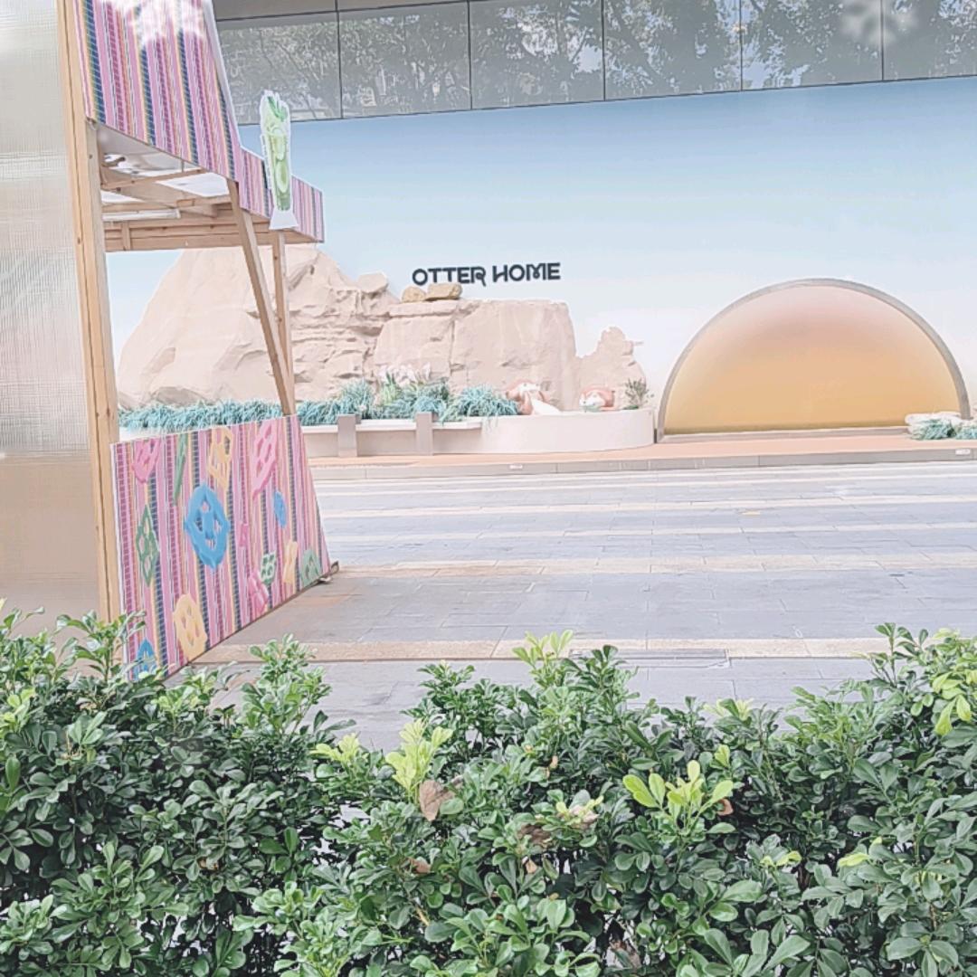 死中介