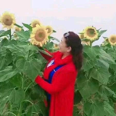 丫姐